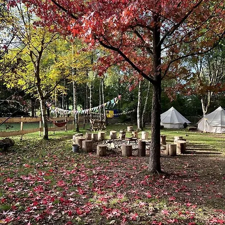 Lüks kamp alanı Incredible Nature Camp Ideal For Groups Or Big Family Retreats In Germany Vorpochten