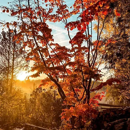 Campismo de Luxo Incredible Nature Camp Ideal For Groups Or Big Family Retreats In Germany Vorpochten