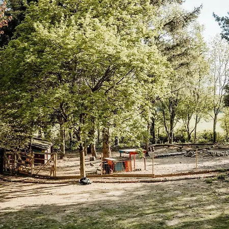 Lüks kamp alanı Incredible Nature Camp Ideal For Groups Or Big Family Retreats In Germany Vorpochten